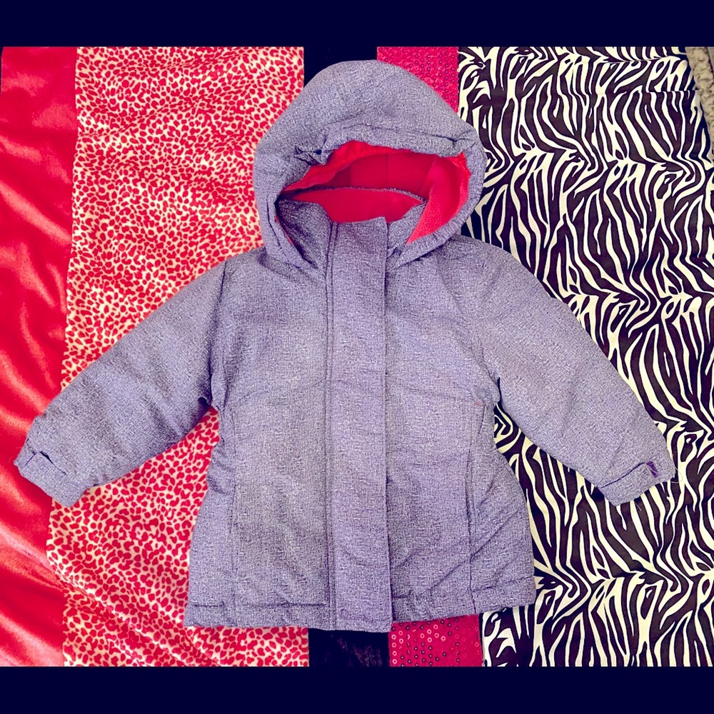 North Face size 2 Girls winter Jacket